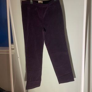 Talbots Velvet Purple Stretch Jeans